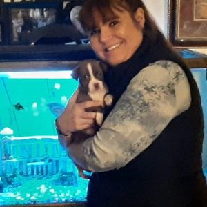 Meet your Posher, Penny